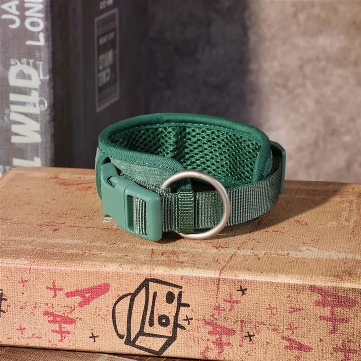 Luxury Collar Walk Sets