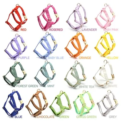 Flerfärgad Corduroy hundsele